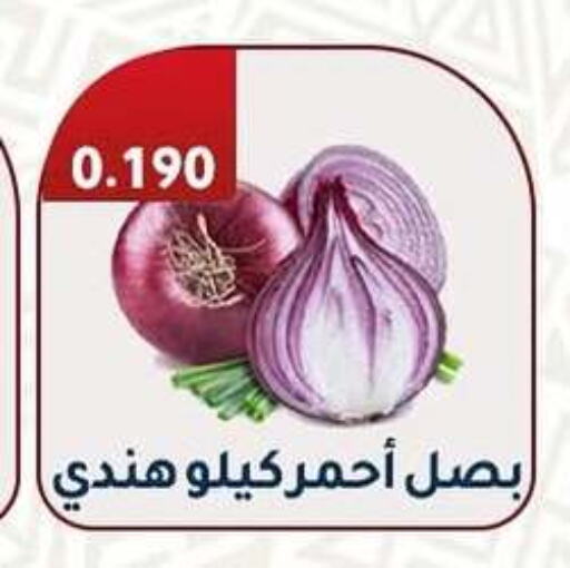 Onion available at Al Fahaheel Co - Op Society in Kuwait - Ahmadi Governorate