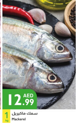 available at Istanbul Supermarket in UAE - Abu Dhabi