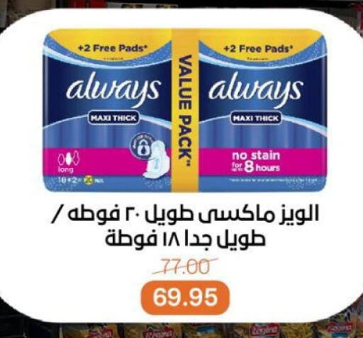 النظافة الشخصية النسائية in بيت الجملة, Egypt Offers - Egypt ألويز available at بيت الجملة in Egypt - القاهرة