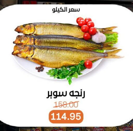 سمك مجمد in بيت الجملة, Egypt Offers - Egypt available at بيت الجملة in Egypt - القاهرة