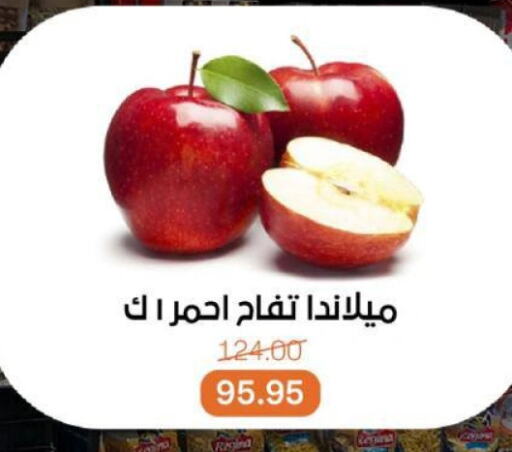 فاكهة طازجة in بيت الجملة, Egypt Offers - Egypt تفاح available at بيت الجملة in Egypt - القاهرة