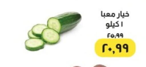 Cucumber available at Kheir Zaman  in Egypt - Cairo