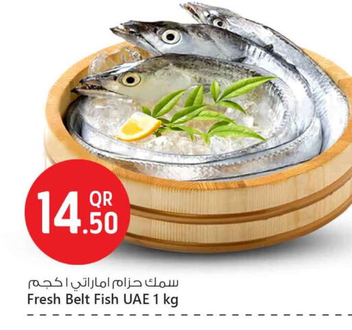 available at Safari Hypermarket in Qatar - Doha