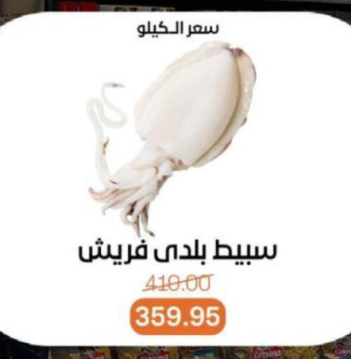 الأسماك الطازجة in بيت الجملة, Egypt Offers - Egypt available at بيت الجملة in Egypt - القاهرة