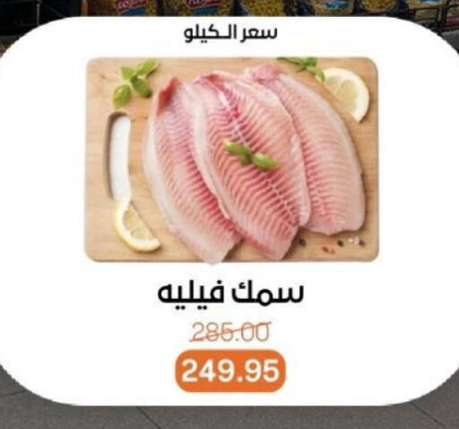 الأسماك الطازجة in بيت الجملة, Egypt Offers - Egypt available at بيت الجملة in Egypt - القاهرة