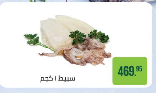 Fresh Fish in Seoudi Supermarket, Egypt Offers - Egypt available at Seoudi Supermarket in Egypt - Cairo