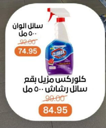 كلوركس منظف عام available at بيت الجملة in Egypt - القاهرة