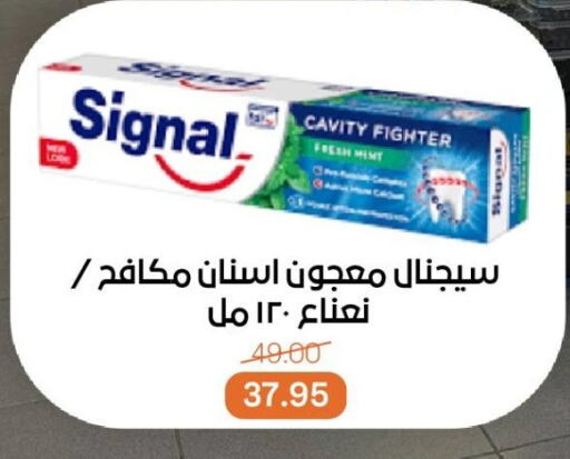 العناية بالأسنان in بيت الجملة, Egypt Offers - Egypt سيجنال معجون أسنان available at بيت الجملة in Egypt - القاهرة