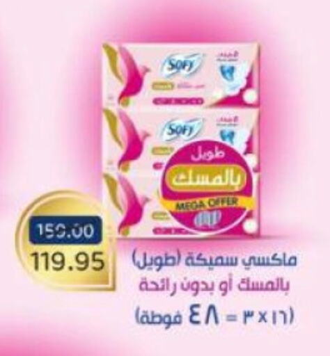 النظافة الشخصية النسائية in بيت الجملة, Egypt Offers - Egypt available at بيت الجملة in Egypt - القاهرة