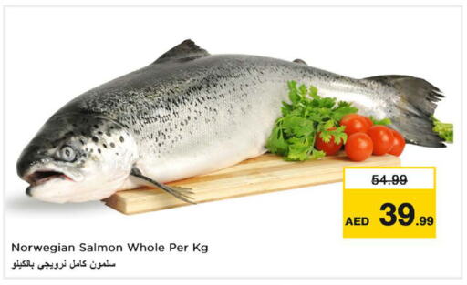 available at Nesto Hypermarket in UAE - Fujairah