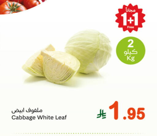 Cabbage available at Othaim Markets in KSA, Saudi Arabia, Saudi - Rafha