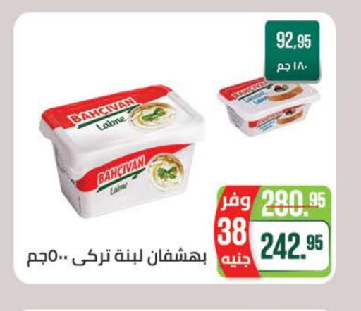 Yogurt & Labneh in Seoudi Supermarket, Egypt Offers - Egypt Labneh available at Seoudi Supermarket in Egypt - Cairo