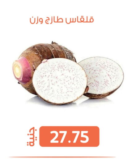 الخضروات الطازجة in سوق غلاب, Egypt Offers - Egypt available at سوق غلاب in Egypt - القاهرة
