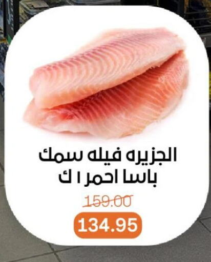 سمك مجمد in بيت الجملة, Egypt Offers - Egypt available at بيت الجملة in Egypt - القاهرة