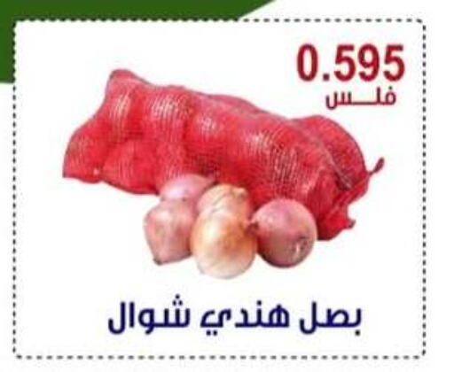 Onion available at Egaila Cooperative Society in Kuwait - Ahmadi Governorate