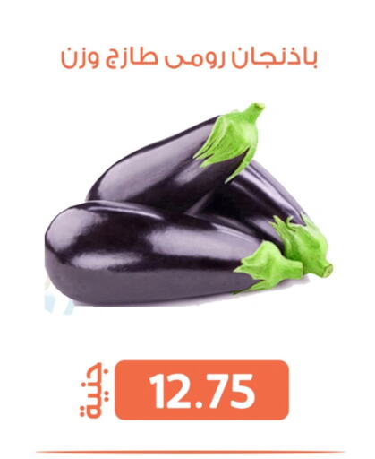 الخضروات الطازجة in سوق غلاب, Egypt Offers - Egypt available at سوق غلاب in Egypt - القاهرة
