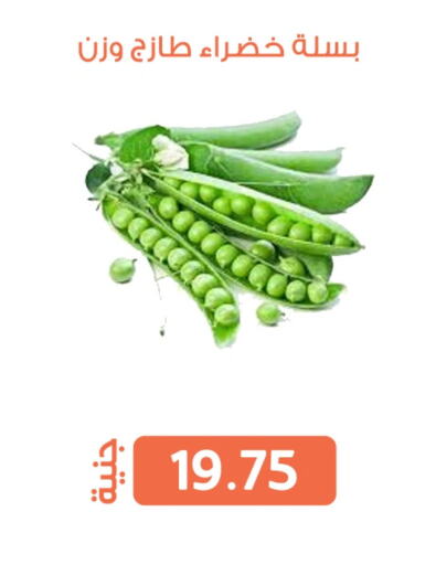 الخضروات الطازجة in سوق غلاب, Egypt Offers - Egypt available at سوق غلاب in Egypt - القاهرة