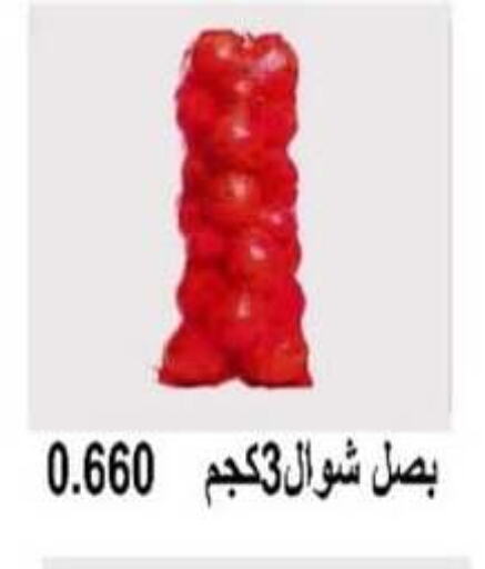 Onion available at Abu Halifa Co-Op Society  in Kuwait - Ahmadi Governorate