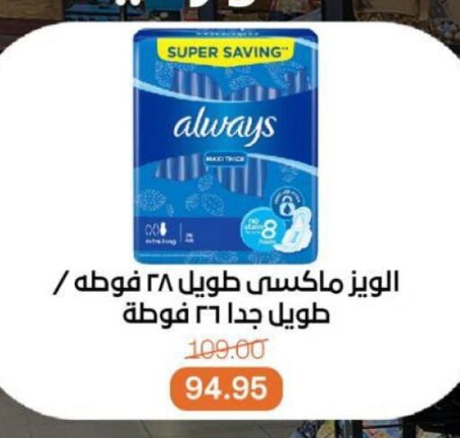 النظافة الشخصية النسائية in بيت الجملة, Egypt Offers - Egypt ألويز available at بيت الجملة in Egypt - القاهرة
