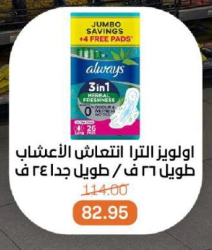 النظافة الشخصية النسائية in بيت الجملة, Egypt Offers - Egypt ألويز available at بيت الجملة in Egypt - القاهرة