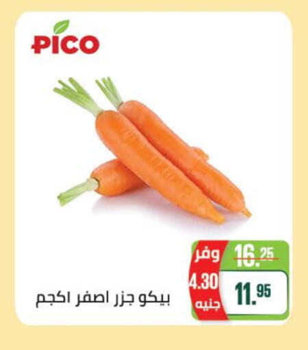 Fresh Vegetables in Seoudi Supermarket, Egypt Offers - Egypt Carrot available at Seoudi Supermarket in Egypt - Cairo