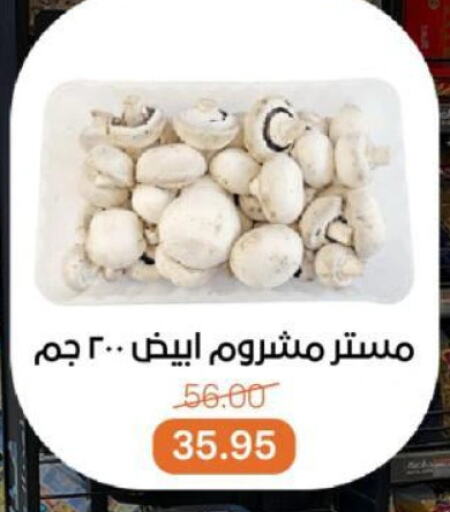 أغذية معلبة ومغلفة in بيت الجملة, Egypt Offers - Egypt available at بيت الجملة in Egypt - القاهرة