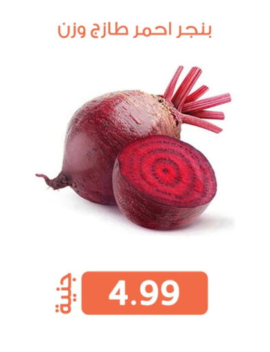 الخضروات الطازجة in سوق غلاب, Egypt Offers - Egypt available at سوق غلاب in Egypt - القاهرة