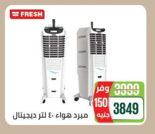 فريش available at سعودي سوبرماركت in Egypt - القاهرة
