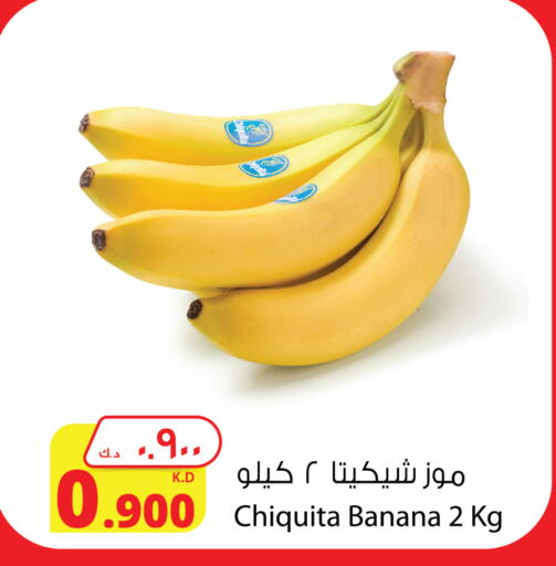 Banana available at Agricultural Food Products Co. in Kuwait - Ahmadi Governorate