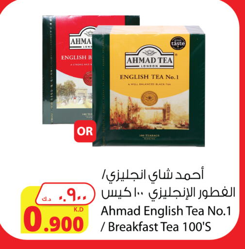 AHMAD TEA Tea Bags available at Agricultural Food Products Co. in Kuwait - Ahmadi Governorate