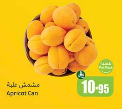 الفواكه المجففة و التمور in أسواق عبد الله العثيم, المملكة العربية السعودية Offers - المملكة العربية السعودية Apricot available at أسواق عبد الله العثيم in مملكة العربية السعودية, السعودية, سعودية - الدوادمي