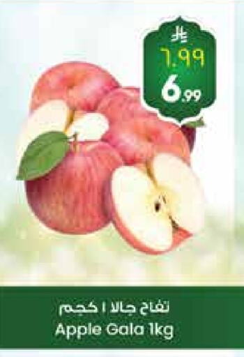 Fresh Fruits in City Flower, Saudi Arabia Offers - Saudi Arabia Apples available at City Flower in KSA, Saudi Arabia, Saudi - Jubail