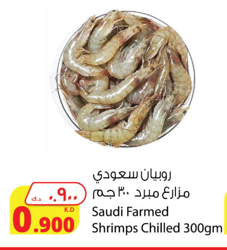 available at Agricultural Food Products Co. in Kuwait - Jahra Governorate