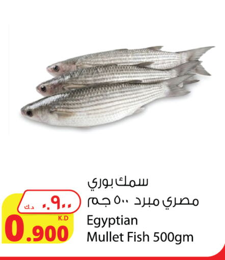 available at Agricultural Food Products Co. in Kuwait - Jahra Governorate
