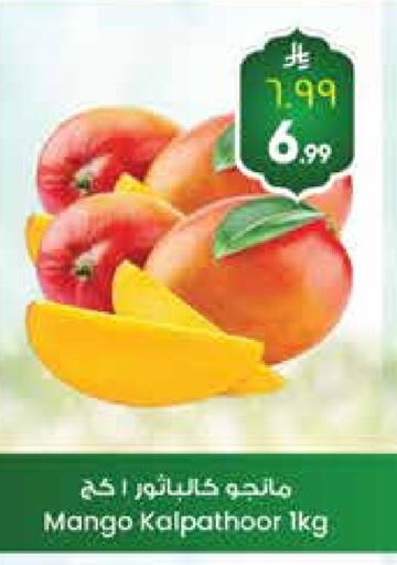 Fresh Fruits in City Flower, Saudi Arabia Offers - Saudi Arabia Mangoes available at City Flower in KSA, Saudi Arabia, Saudi - Jubail