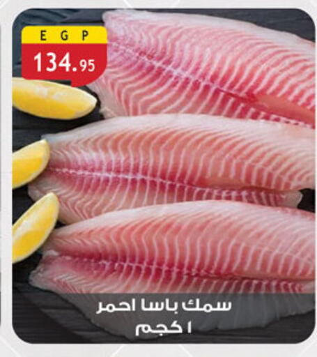 available at Al Rayah Market   in Egypt - Cairo