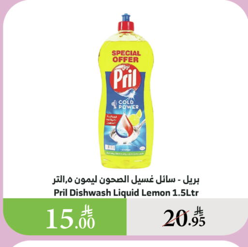 غسل الطبق in الراية, المملكة العربية السعودية Offers - المملكة العربية السعودية بريل available at الراية in مملكة العربية السعودية, السعودية, سعودية - الطائف