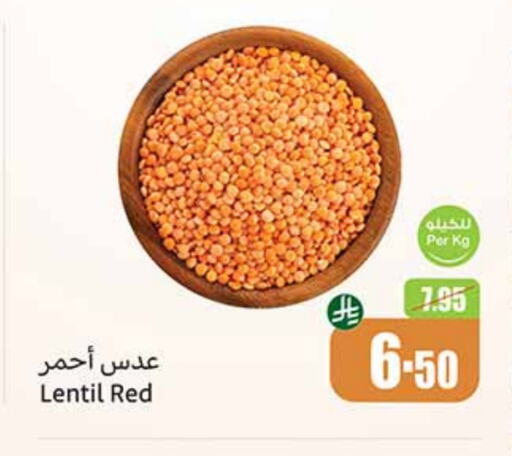 البقول، الفول والحبوب in أسواق عبد الله العثيم, المملكة العربية السعودية Offers - المملكة العربية السعودية available at أسواق عبد الله العثيم in مملكة العربية السعودية, السعودية, سعودية - الدوادمي