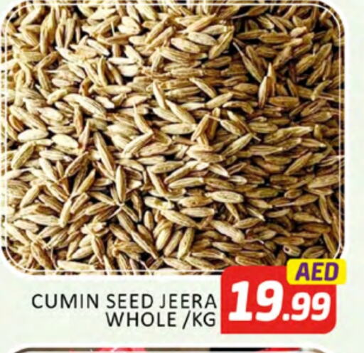 Salts, Spices & Paste in Al Madina , UAE Offers - United Arab Emirates Dried Herbs available at Al Madina in UAE - Dubai