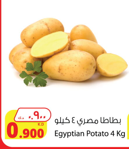 Potato from Egypt available at Agricultural Food Products Co. in Kuwait - Kuwait City