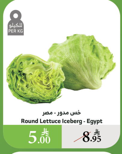 الخضروات الطازجة in الراية, المملكة العربية السعودية Offers - المملكة العربية السعودية Lettuce from Egypt available at الراية in مملكة العربية السعودية, السعودية, سعودية - خميس مشيط