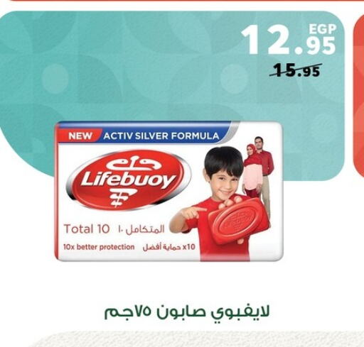 LIFEBOUY available at Panda  in Egypt - Cairo