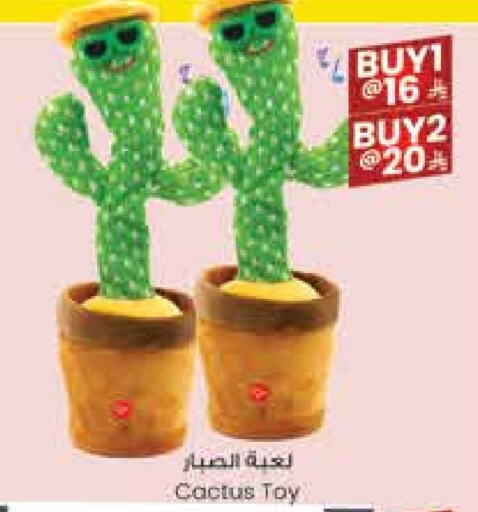 available at City Flower in KSA, Saudi Arabia, Saudi - Hail