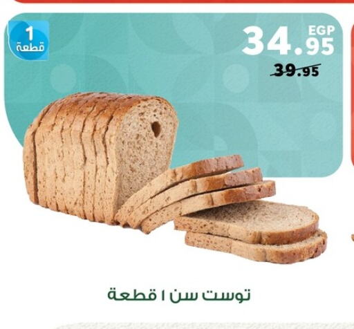 Bread & Buns in Panda , Egypt Offers - Egypt available at Panda in Egypt - Cairo