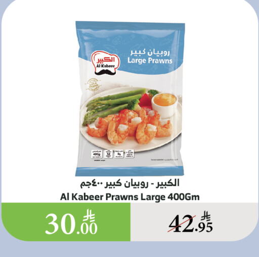 سمك مجمد in الراية, المملكة العربية السعودية Offers - المملكة العربية السعودية الكبير available at الراية in مملكة العربية السعودية, السعودية, سعودية - خميس مشيط