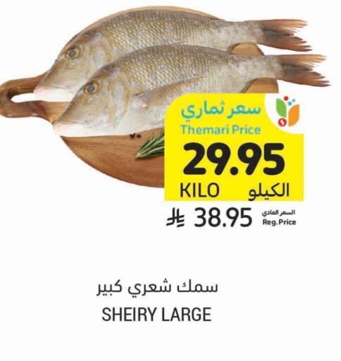 available at Tamimi Market in KSA, Saudi Arabia, Saudi - Jubail