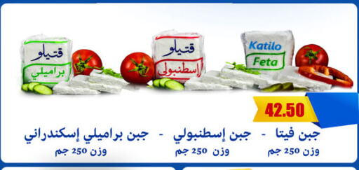 كتيلو فيتا available at الرايه  ماركت in Egypt - القاهرة
