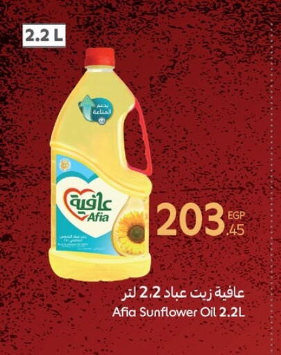 AFIA Sunflower Oil available at Carrefour  in Egypt - Cairo