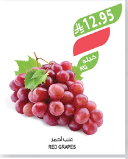فاكهة طازجة in المزرعة, المملكة العربية السعودية Offers - المملكة العربية السعودية عنب available at المزرعة in مملكة العربية السعودية, السعودية, سعودية - عرعر