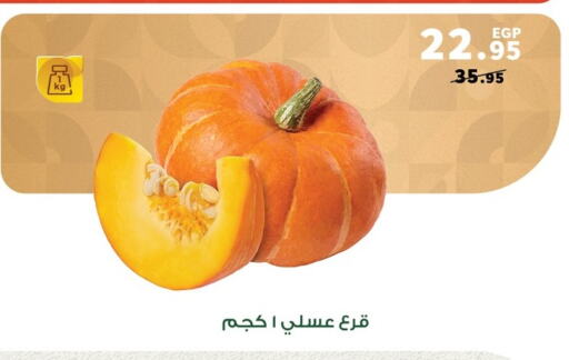 Canned & Packeted in Panda , Egypt Offers - Egypt available at Panda in Egypt - Cairo